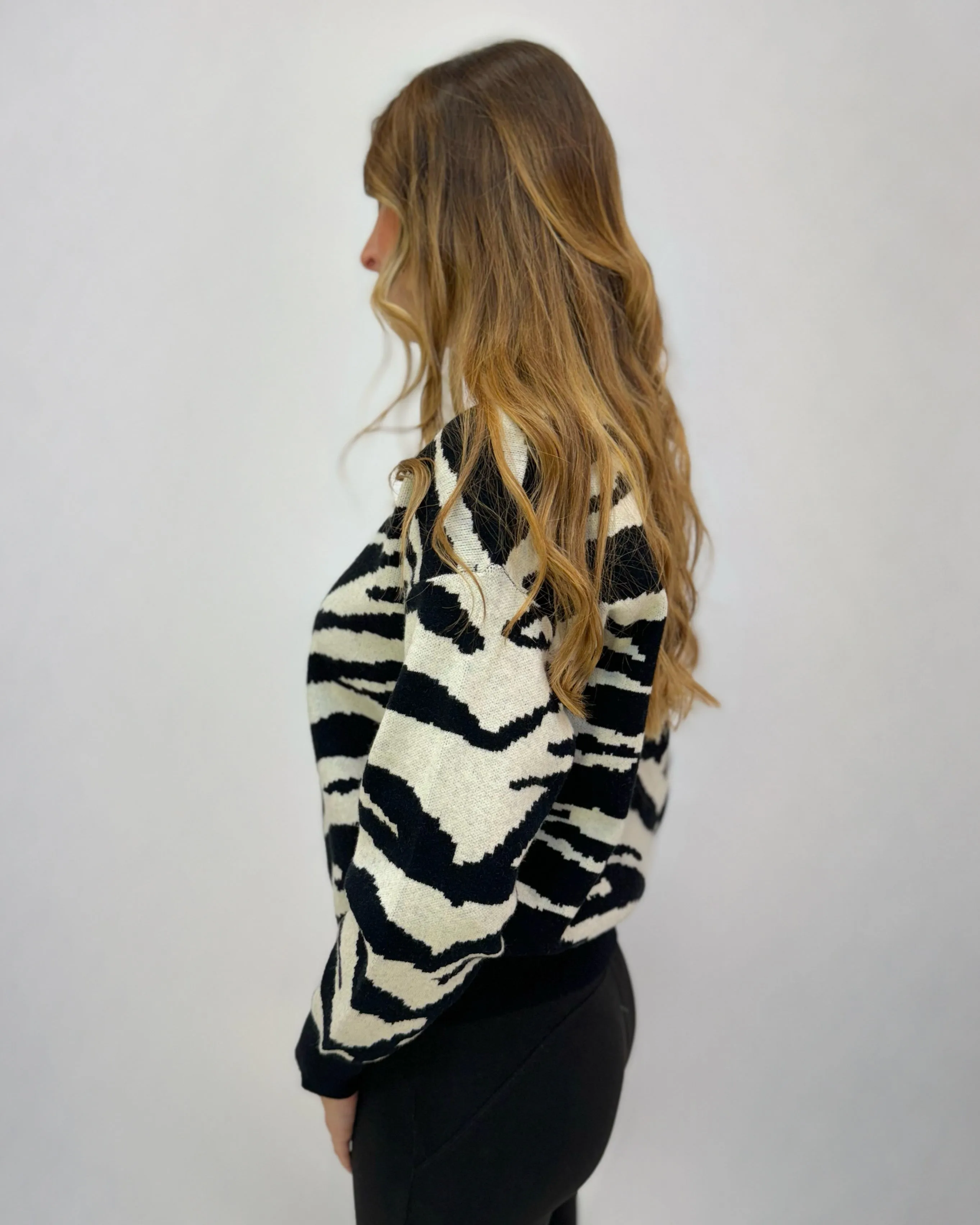 Animal print sweater