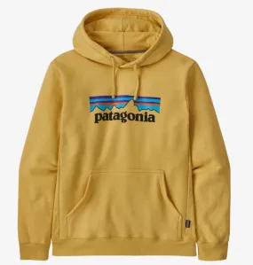 Patagonia P-6 Logo Hoodie