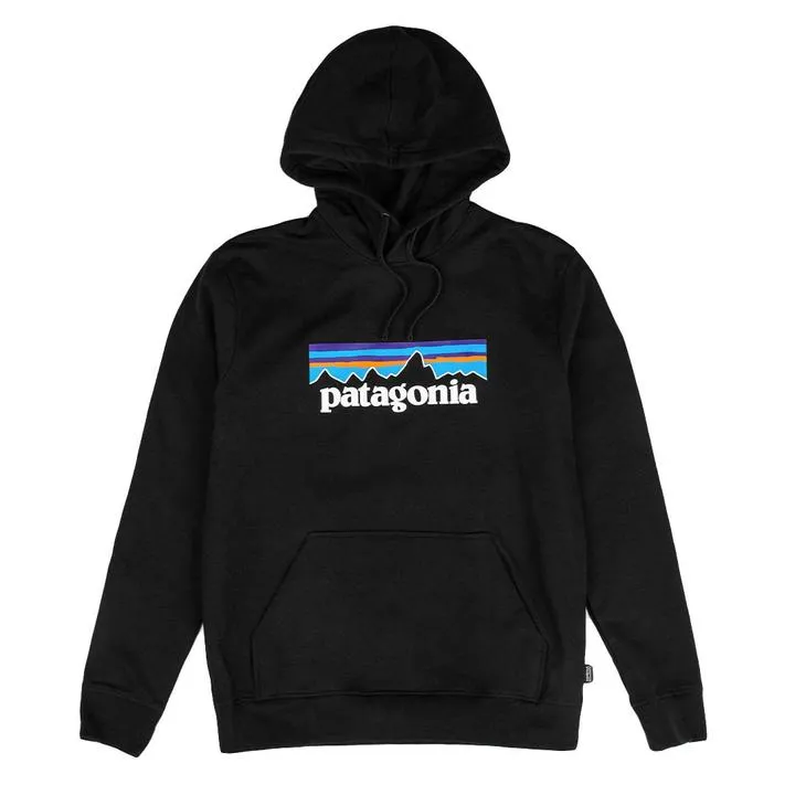 Patagonia P-6 Logo Hoodie