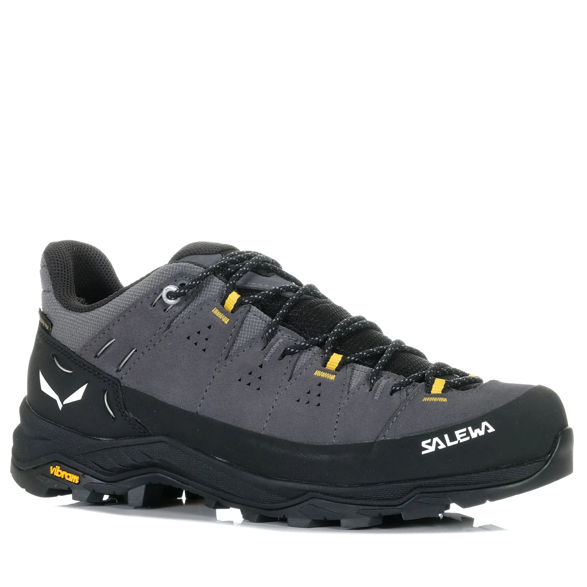 Salewa Alp Trainer 2 GTX Black for sale