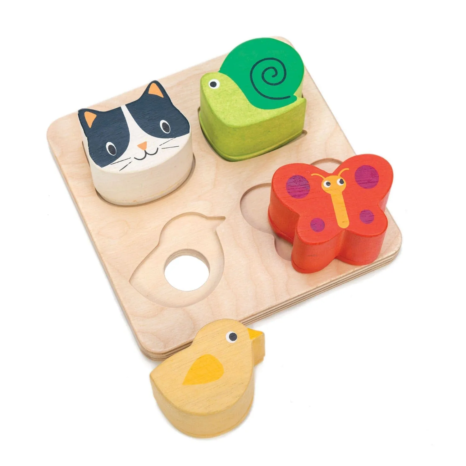 Toddler Sensory Collection - Best sensory toys for toddlers at affordable prices. Shop now for a wide range of sensory play item