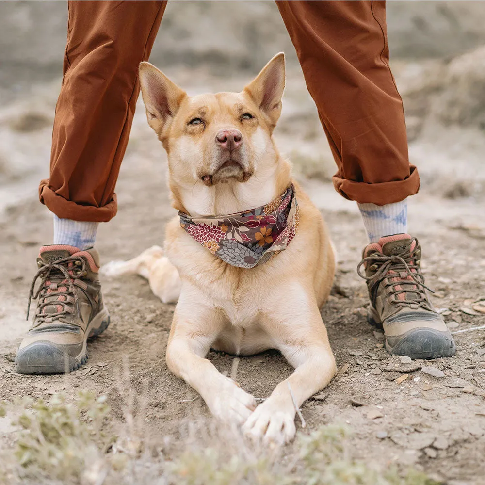 Women's Timberwolf Brick Dust Ridge Flex Mid WP